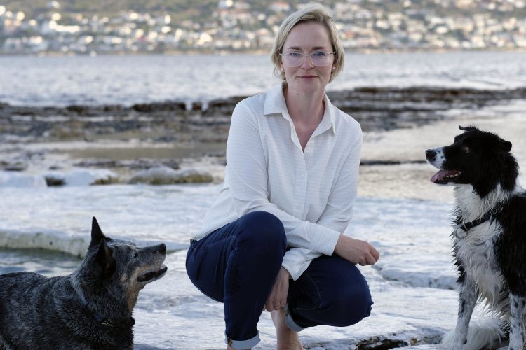 Who Gets Custody of the Dog?